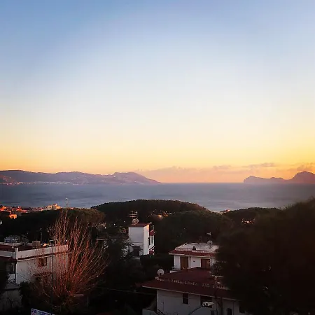 Panorama 158 *